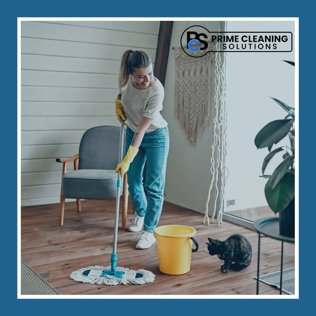Domestic Clean Northern Ireland